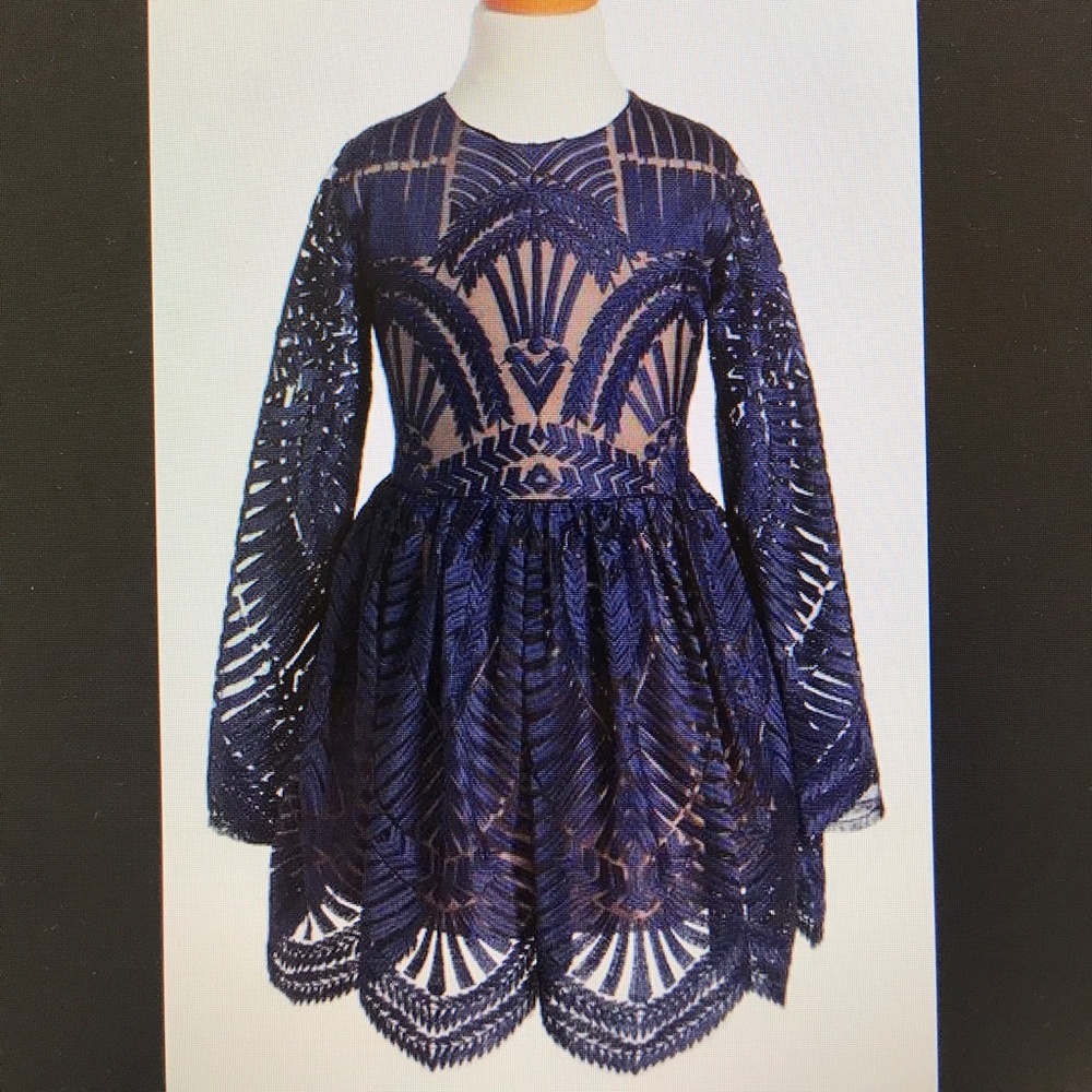Bardot Junior Embroidered Mesh Dress
